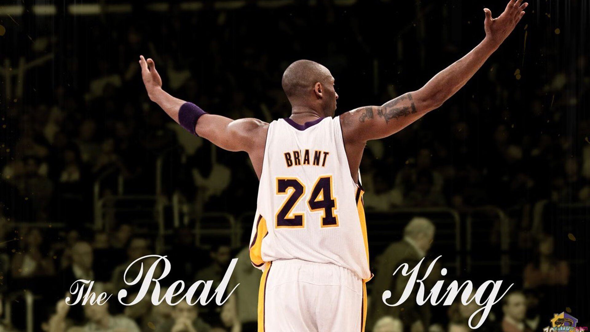 穆古鲁扎新星赛况扑朔迷离表现惊艳,法国队未来可期!